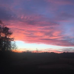 Meet your Posher, Ally